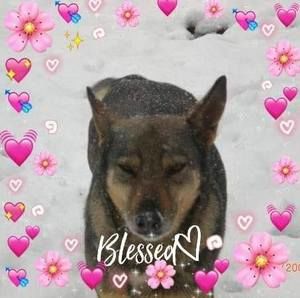 Meet your Posher, Alicia